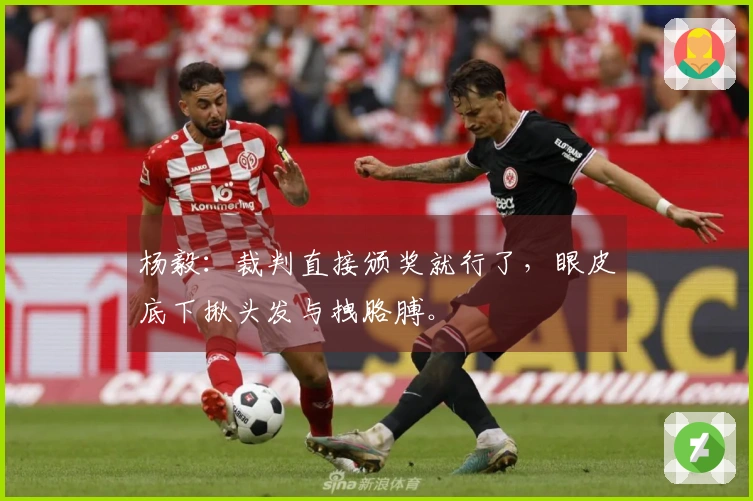 杨毅：裁判直接颁奖就行了，眼皮底下揪头发与拽胳膊。