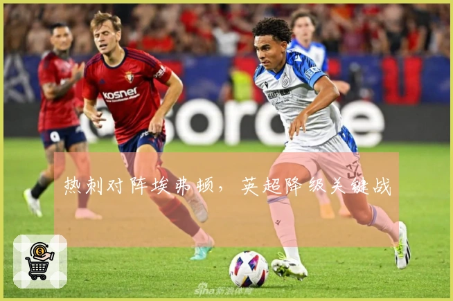 热刺对阵埃弗顿，英超降级关键战