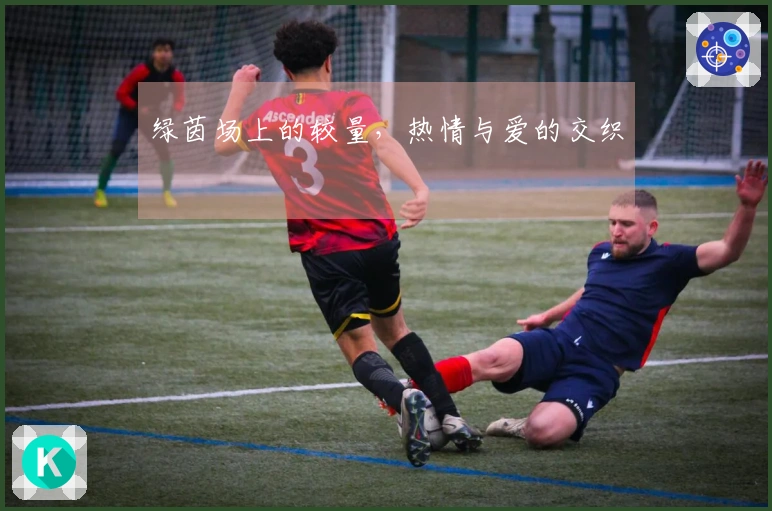 绿茵场上的较量，热情与爱的交织