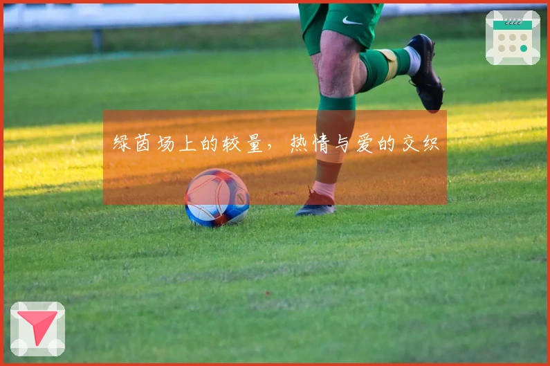绿茵场上的较量，热情与爱的交织